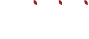 Logo Olivini Group