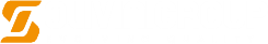 Logo Olivini Group